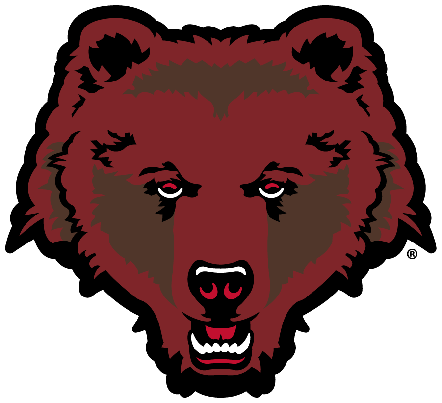 Brown Bears 2018-Pres Alternate Logo iron on transfers for T-shirts